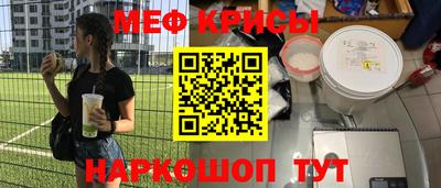 шишки Заволжье