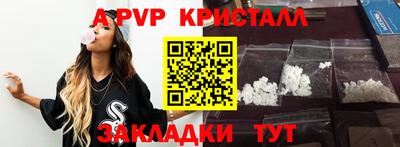 шишки Заволжье