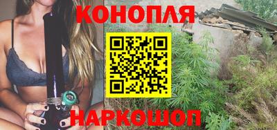 шишки Заволжье