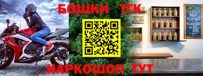 шишки Заволжье