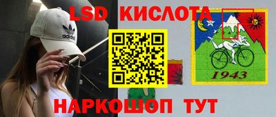 шишки Заволжье
