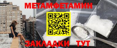 шишки Заволжье