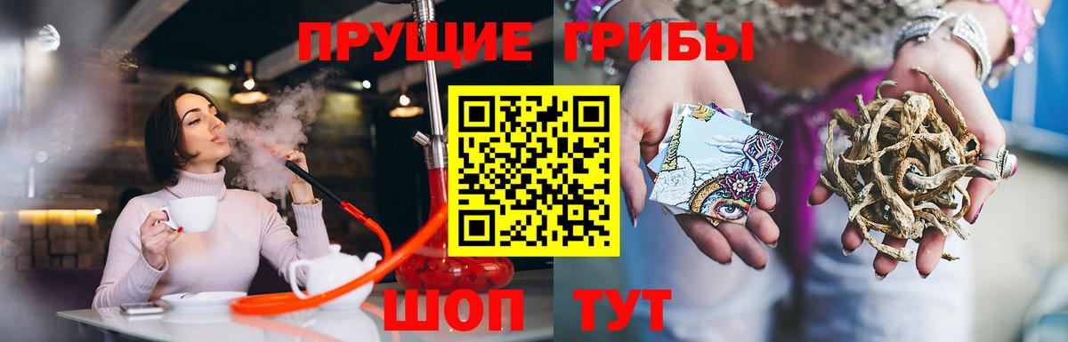 Димитровград  Галлюциногенные грибы ЛСД  Галлюциногенные грибы Psilocybine cubensis  продажа наркотиков  Вход с VPN 