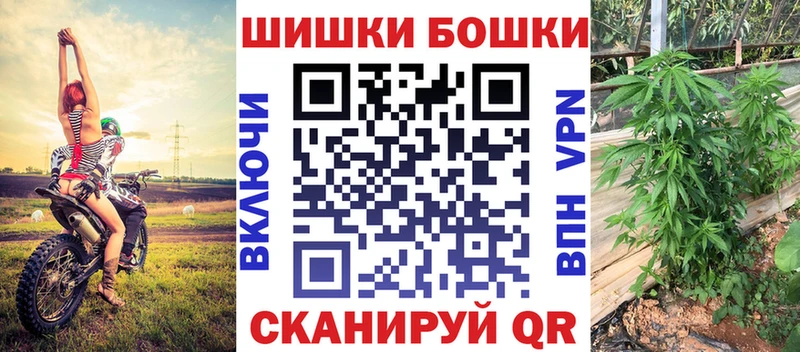 магазин    Димитровград  нарко площадка формула  Бошки марихуана индика 